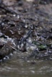Essequibo Hidden River S01E03 XviD-AFG EZTV