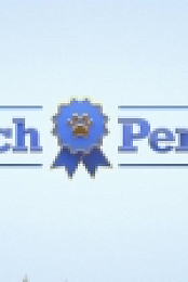 Pooch Perfect US S01E01 WEB h264-BAE EZTV