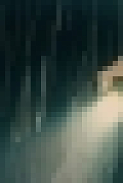 Tribal S01 COMPLETE 1080p WEBRip x264-aAF[TGx]