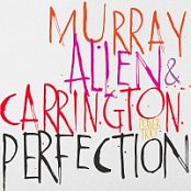 Murray, Allen & Carrington Power Trio - Perfection (2016)