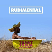Rudimental - Toast to our Differences (Deluxe) (2019) 320