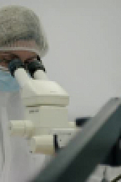 Forensics The Real CSI S04E04 XviD-AFG EZTV