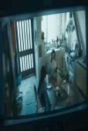The Capture S01E05 480p x264-mSD [eztv]
