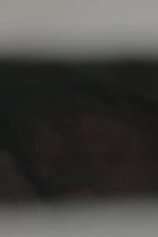 Hitlers Last Stand S04E02 XviD-AFG EZTV