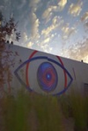 Big Brother AU S13E09 480p x264-mSD EZTV