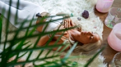 [ FreeCourseWeb ] AloMoves - Healing Sound Bath