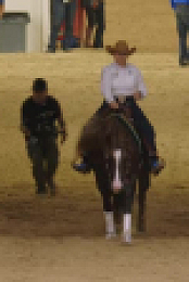 The Last Cowboy S04E06 XviD-AFG EZTV