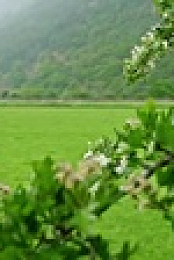 Richard Hammonds Workshop S02E05 XviD-AFG EZTV