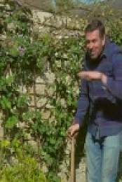 Gardeners World S53E04 480p x264-mSD [eztv]