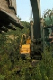Gold Rush S10E13 480p x264-mSD [eztv]
