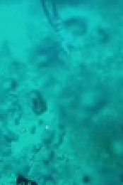 When Sharks Attack S08E06 720p HEVC x265-MeGusta EZTV