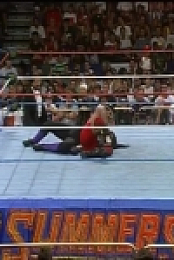 WWE SummerSlam 1995 480p x264-mSD EZTV