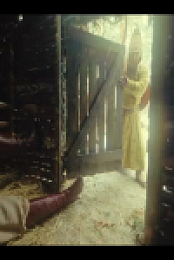 1670 S01E04 480p x264-mSD EZTV