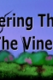 Wandering Through The Vines