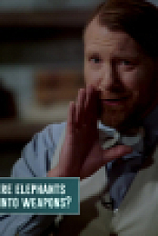 The Einstein Challenge S01E03 1080p WEB h264-EDITH EZTV