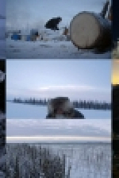 The Last Alaskans S04E07 Hard Choices 720p WEBRip x264-CAFFEiNE