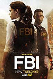 FBI S02E04 1080p WEB x264-worldmkv