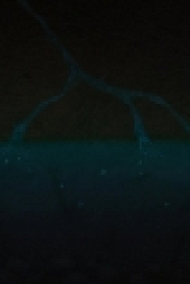 SparkShorts S01E08 Burrow 720p WEB h264-KOGi EZTV