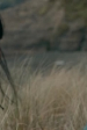 The Wilds S01E01 XviD-AFG EZTV