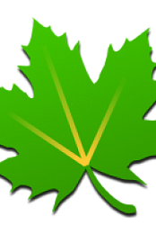 Greenify v4.7.1 build 47100 Donate Apk - [haxNode]