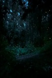 Super Natural S01E01 480p x264-mSD EZTV