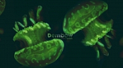 Danny Ocean - Dembow.m4a [HE-AAC V2] 192kbps