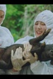 Once Upon a Small Town S01E02 XviD-AFG EZTV