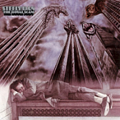 Steely Dan - The Royal Scam (Remastered) (1976) FLAC 88