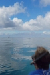 Chasing Ocean Giants S01E03 Humpbacks After Dark 720p WEB h264-B2B EZTV