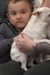 Pets And Pickers S01E03 XviD-AFG EZTV