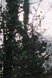 Landscapers S01 WEBRip x265-ION265 EZTV