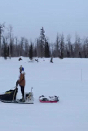 Mountain Men S13E09 480p x264-mSD EZTV