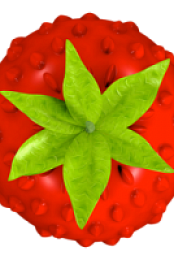 Smultron 10.1.8 (macOS)