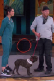 Stupid Pet Tricks S01E07 XviD-AFG EZTV