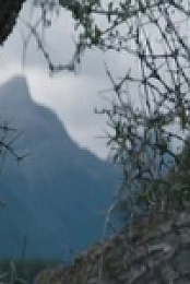 Tracked NZ S01E01 480p x264-mSD EZTV