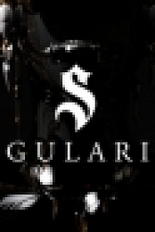Singularity 5