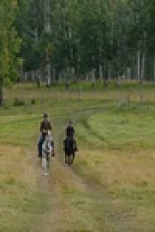 Heartland CA S15E09 480p x264-mSD EZTV