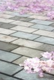 Lycoris Recoil S01E13 XviD-AFG EZTV