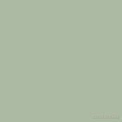 Estela Alexandre Orchestra - Cantomilo (2025) [FLAC 16Bit]