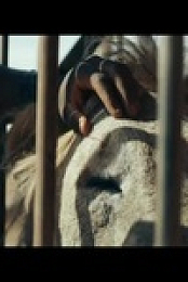Colosseum S01E03 480p x264-mSD EZTV