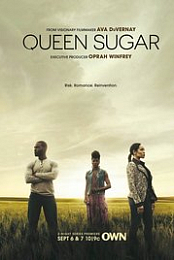 Queen Sugar s04e01 1080p WEB x264-worldmkv