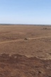Outback Ringer S02E04 1080p HDTV H264-CBFM EZTV