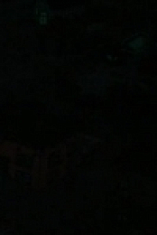Rugrats S01E06 DSR x264-WaLMaRT [eztv]