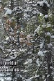 Alone S10E09 720p WEB h264-BAE EZTV