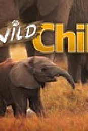 Wild Child S01E02 720p WEB h264-SKYFiRE EZTV
