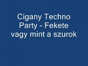Cigany Techno Party-MFA ExtremlymTorrents