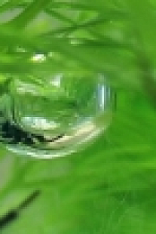 Incredible Spiders 720p x264 HDTV EZTV