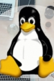 Udemy.Linux.Teoria.e.Pratica.E.Agg.29.03.2020.iTA-[WEB]