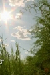 Naked and Afraid S12E02 XviD-AFG EZTV
