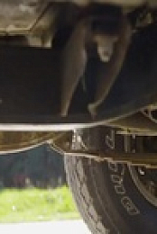 Fully Torqued S02E01 480p x264-mSD EZTV